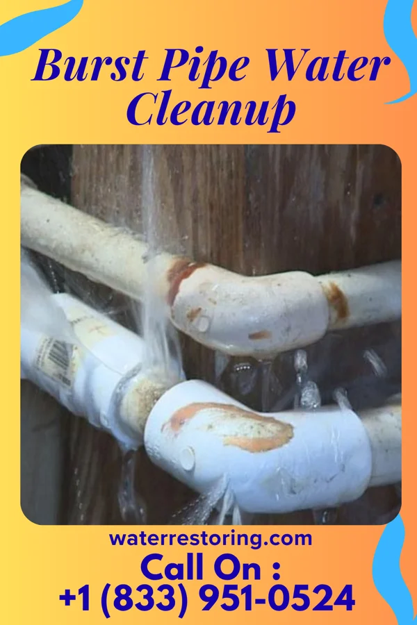 Burst Pipe Water Cleanup in Traverse City, MI