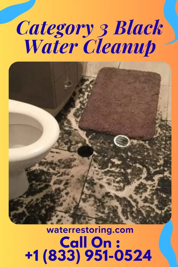 Category 3 Black Water Cleanup in Traverse City, MI