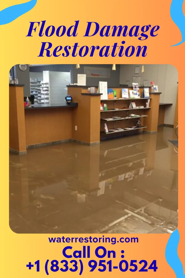 Flood Damage Restoration in Traverse City, MI